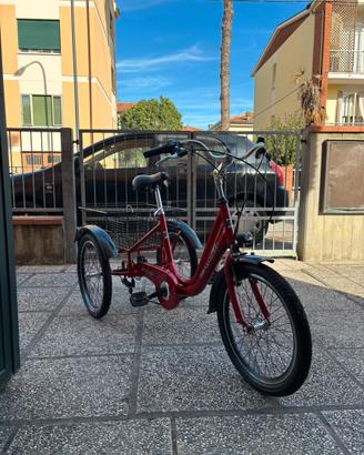 Bici a tre ruote