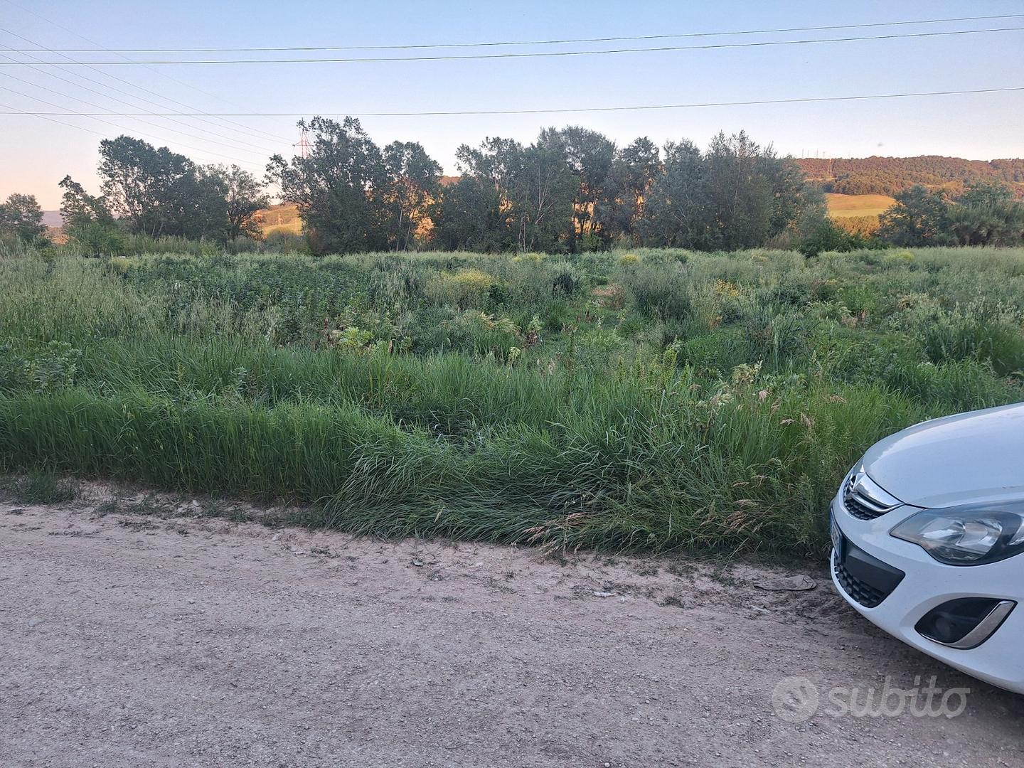 Terreno agricolo 4000 mq vicino casello autostrada - Vista 3