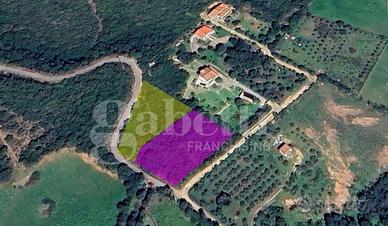 Terreno Agricolo Olbia [Cod. rif 3078511VCG]