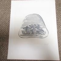 Fotolitografia ATTILIO FORGIOLI