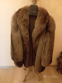 pelliccia   marmotta t