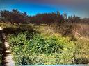 terreno-via-madonna-a-due-km-dalla-spiaggia-lido