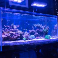 acquario 240 litri più mobile e sump