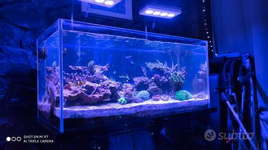 acquario 240 litri più mobile e sump
