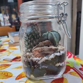 Terrarium in barattolo