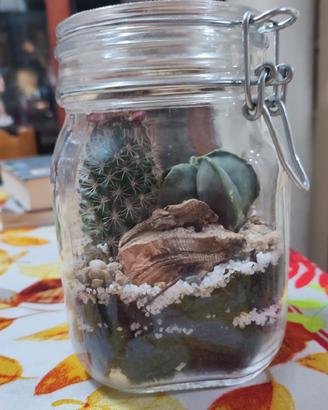 Terrarium in barattolo