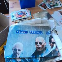 locandine cinema e schede cinema