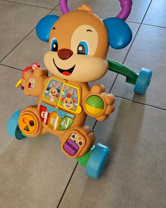 Cagnolino primi passi