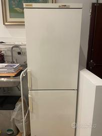 Frigorifero Liebherr con freezer