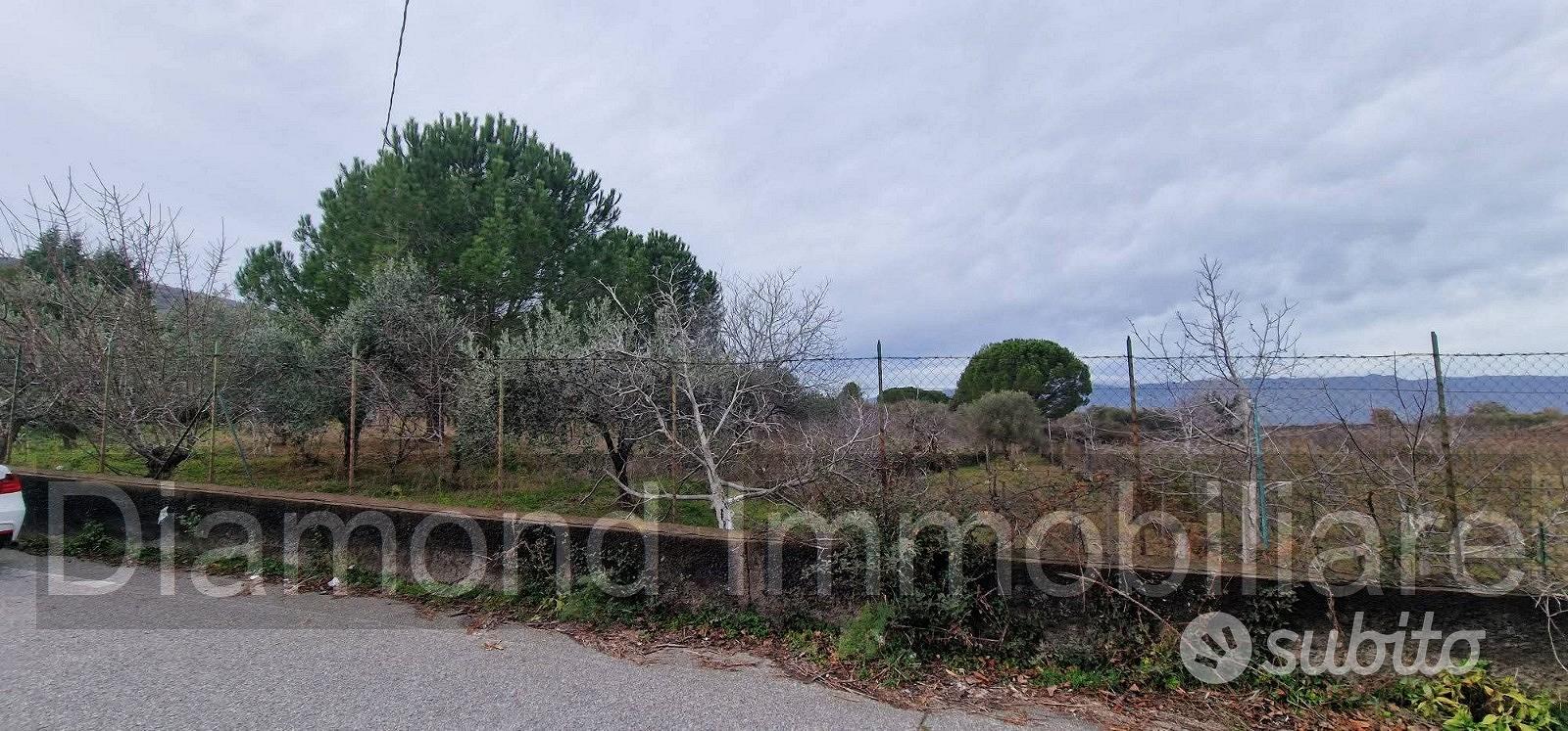 Vigneto in zona DOC a Castiglione di Sicilia - Vista 4