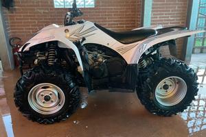Quad 500