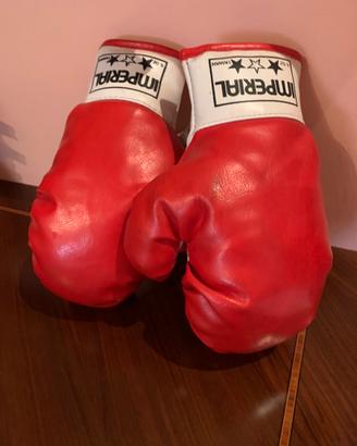Boxe guantoni