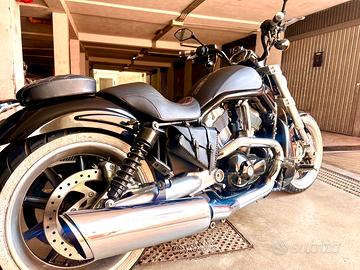 Harley Davidson 1200