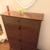 Scarpiera marrone slim