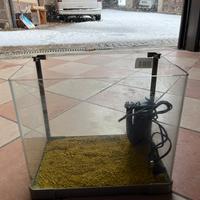 Acquario per pesci rossi