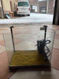 Acquario per pesci rossi