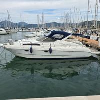 Rii 9.50 cruiser