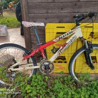 bicicletta lombardo 24 