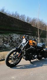  harley davidson 883 iron gold flake