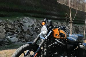  harley davidson 883 iron gold flake