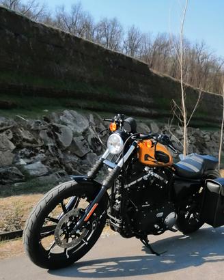  harley davidson 883 iron gold flake