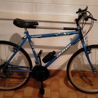 Mountain bike Colorado Shimano MTB.
