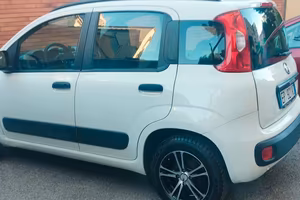 Panda automatica
