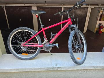 Bicicletta bimbo 24