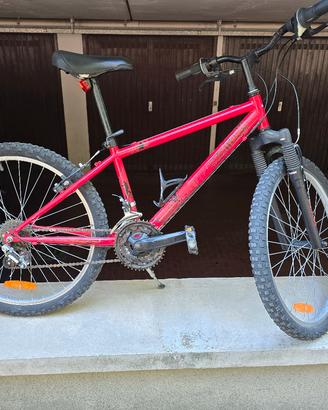 Bicicletta bimbo 24