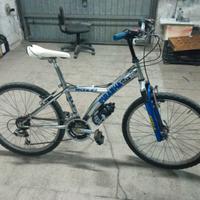 bici MTB ammortizzata