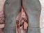 Immagine 6
