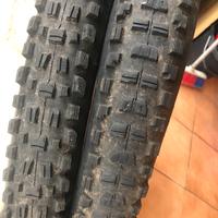 Coppia copertoni maxxis mullet