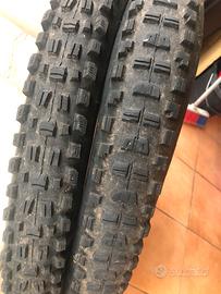 Coppia copertoni maxxis mullet