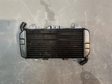 Radiatore Ducati 907 ie