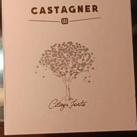Bottiglia acquavite Castagner Barrique di ciliegio