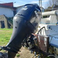 Mercury 115 efi de 2008