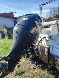 Mercury 115 efi de 2008