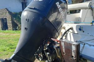 Mercury 115 efi de 2008