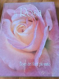 La Rosa elogio del fiore più amato