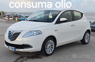 Lancia Ypsilon 1.3 MJT 16V 95 CV 5 porte S&S Plati