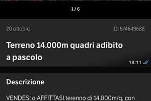 Terreno di 14.000mq adibito a pascolo ecc