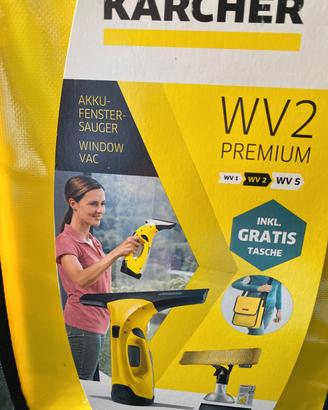 Kärcher WV2 Premium 