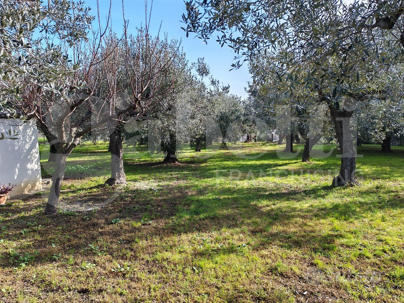 Terreno Residenziale Vasto [IM202593VRG] - Vista 6