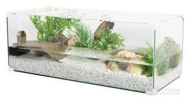 Acquario tartaruga