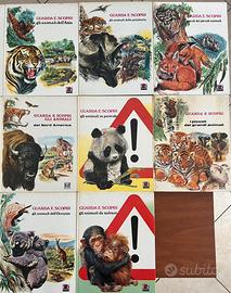 Guarda e scopri gli animali