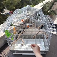 Gabbietta per uccellini