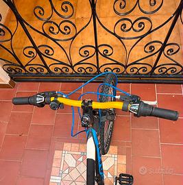 Bicicletta ragazzo