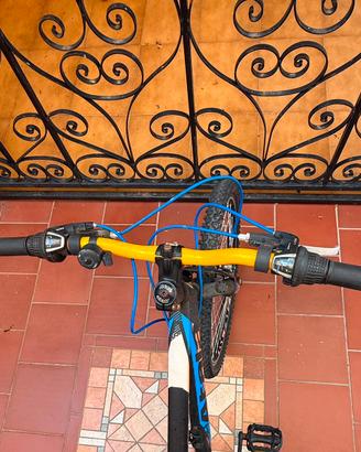 Bicicletta ragazzo
