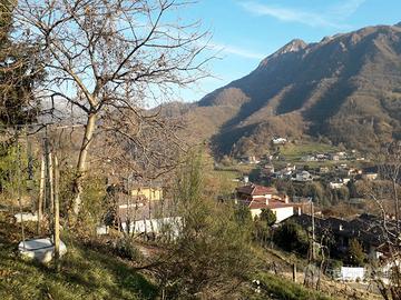 Rustico ristrutturato immerso nel verde