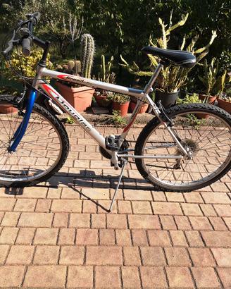 bicicletta mountain bike 